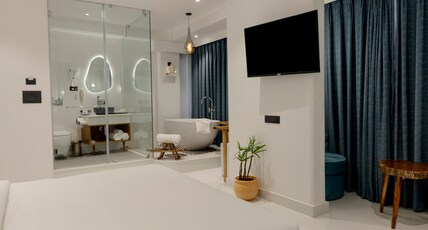 Moustache Udaipur Luxuria Room Type - Superior Private Room With Bathtub
