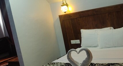 Glen Park Inn Room Type - Antique Double Bedded room