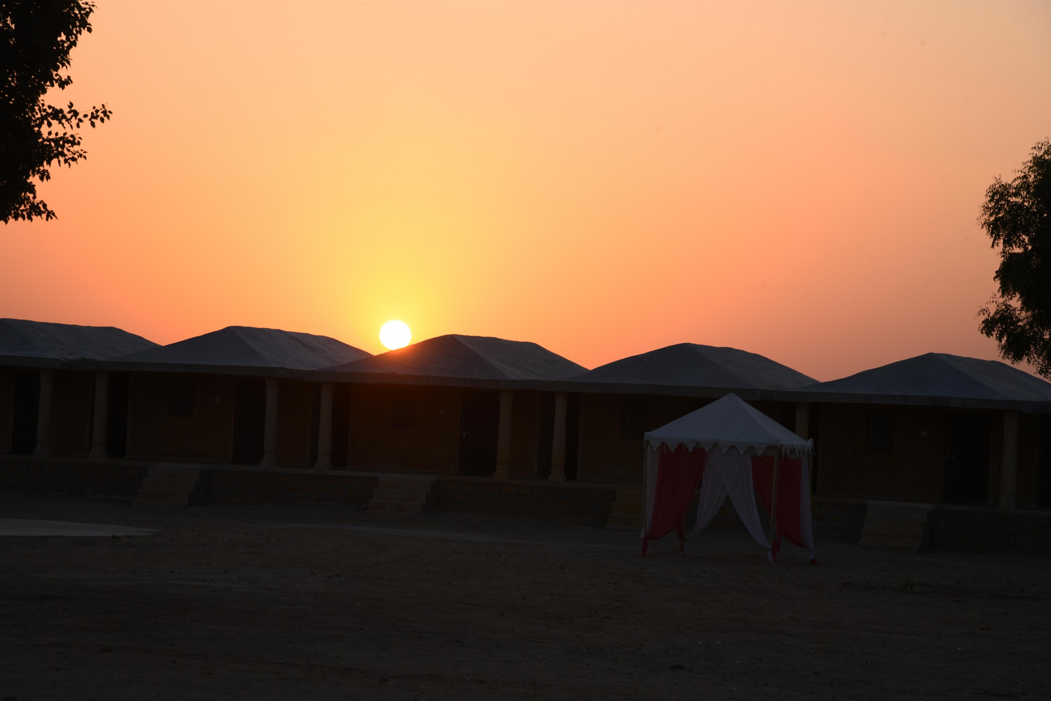 Payal Safari Camp - Tap to explore photos