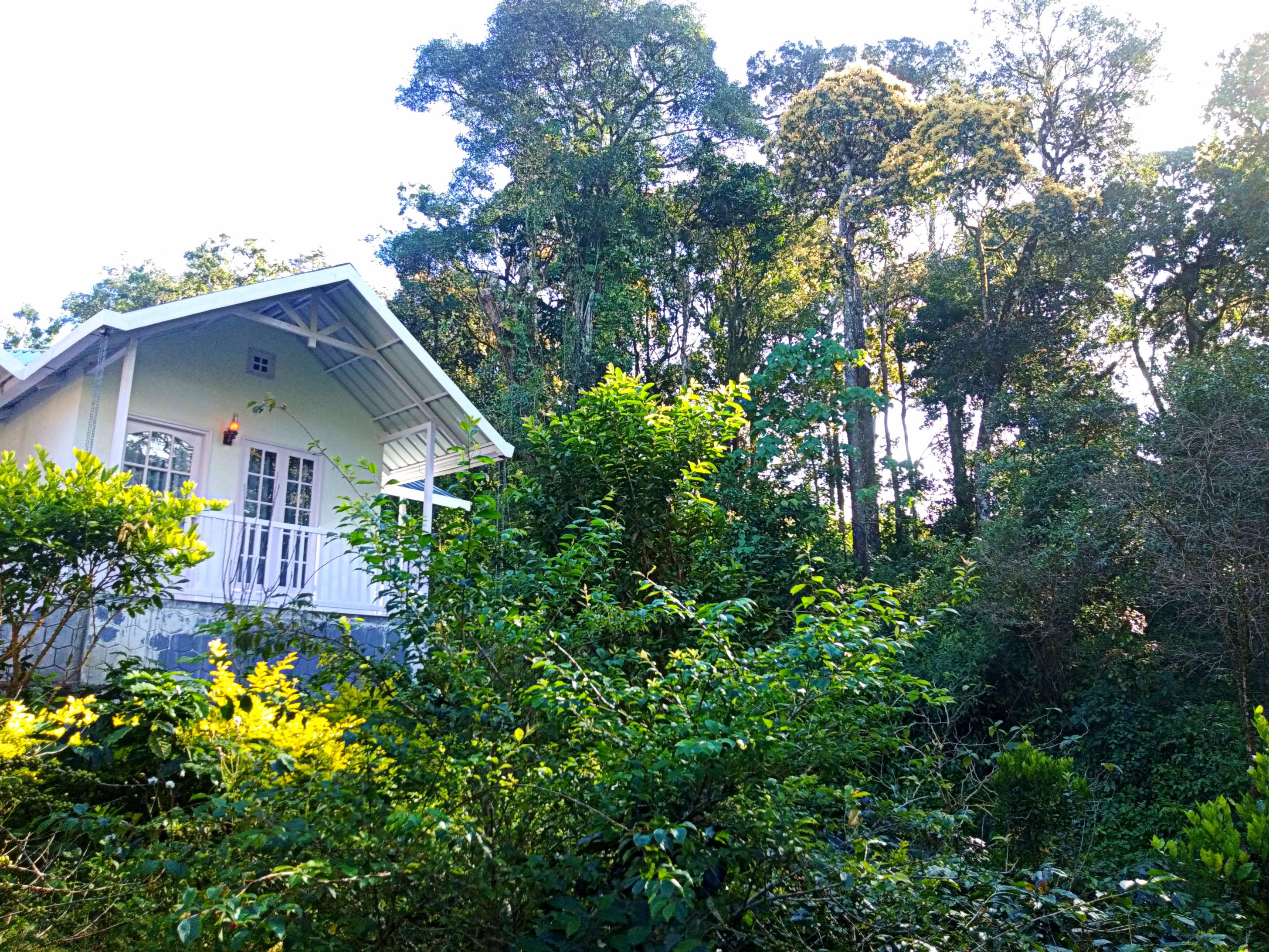 Rainforest Munnar Resort - Tap to explore photos