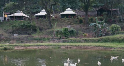 Three Hills Resort Coorg Room Type - Swiss Luxury Tented Non AC Room