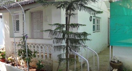 Dolphin House Beach Resort Room Type - FAMILY ROOM FOR FOUR PERSONS