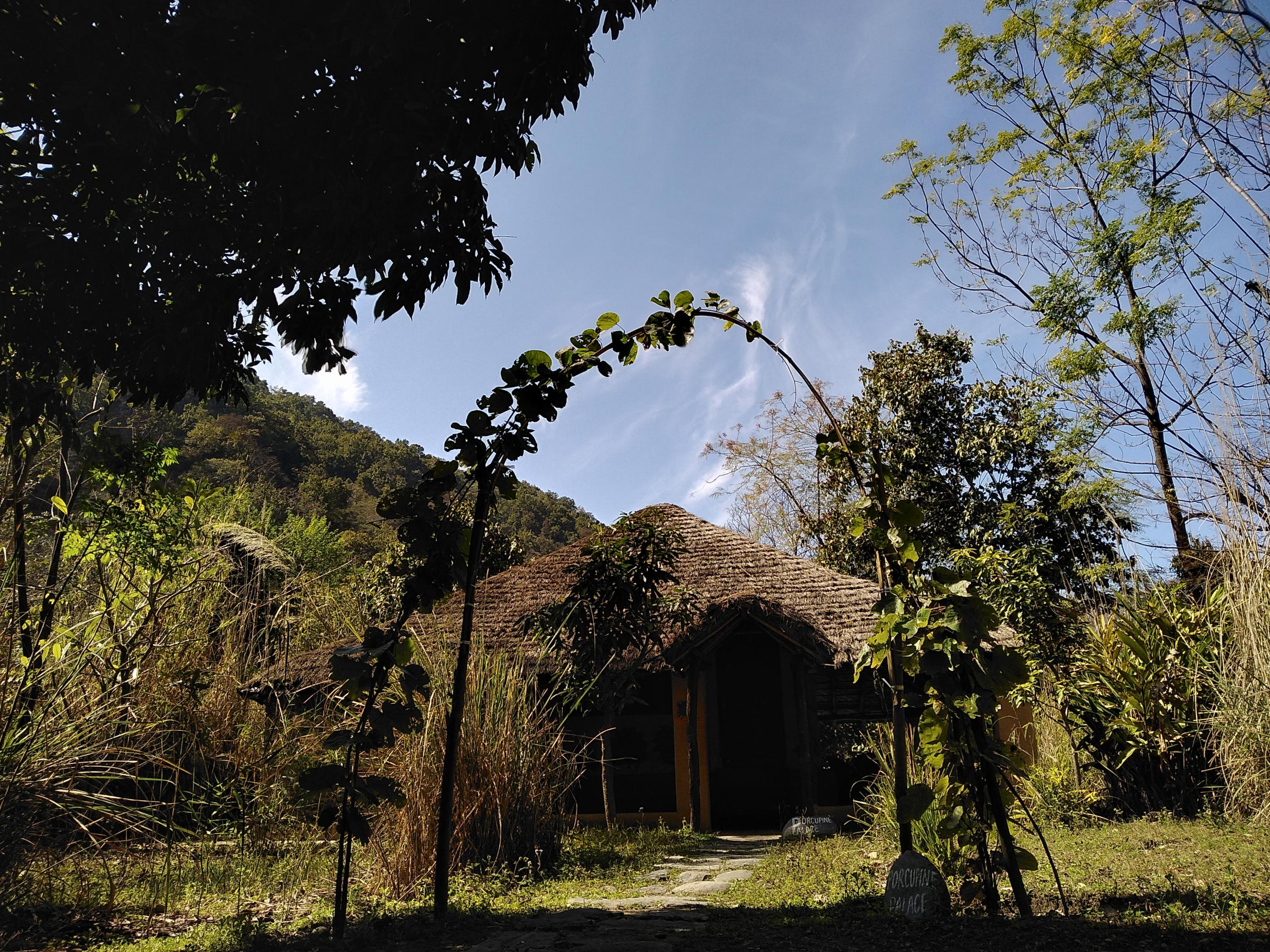 The Vanghat Lodge - Tap to explore photos