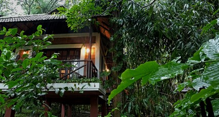 Coffee Acres Plantation Resort Room Type - Premium Cottage With Privite Balcony