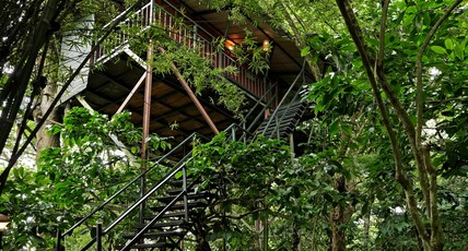 Coffee Acres Plantation Resort Room Type - Tree Hut Double Occupancy