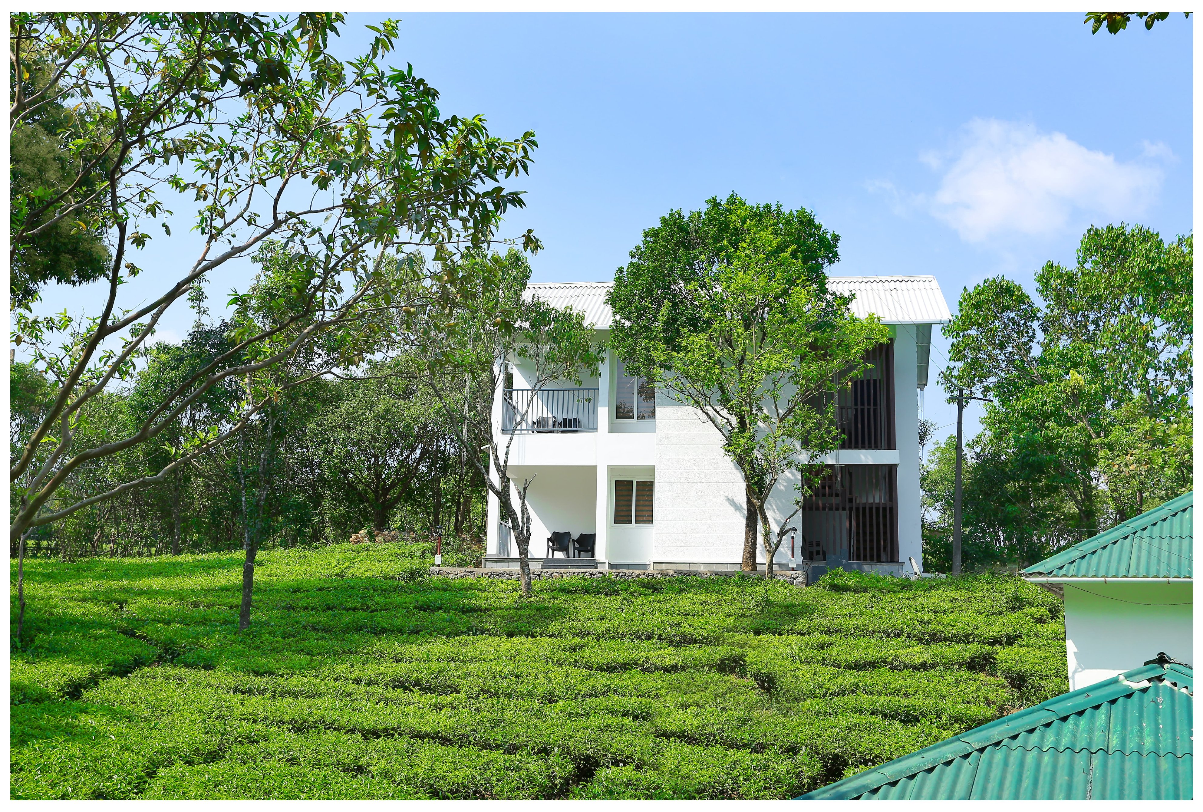 Holiday Vagamon Room Type - Deluxe Room Non Ac