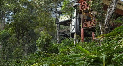 Bamboo Dale Resort & Spa Munnar by Stride Room Type - Premium Tree House II
