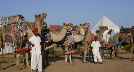 Pushkar Adventure Desert Camp Room Type - Swiss Tent & Cottage with 1 hour Camel Cart Safari Pushkar Adventure Desert Camp Room Type - Swiss Tent & Cottage with 1 hour Camel Cart Safari
