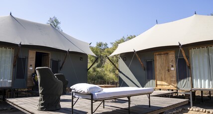 Trees and Tigers Sariska Room Type - Luxury Tent with Private Sit-Out