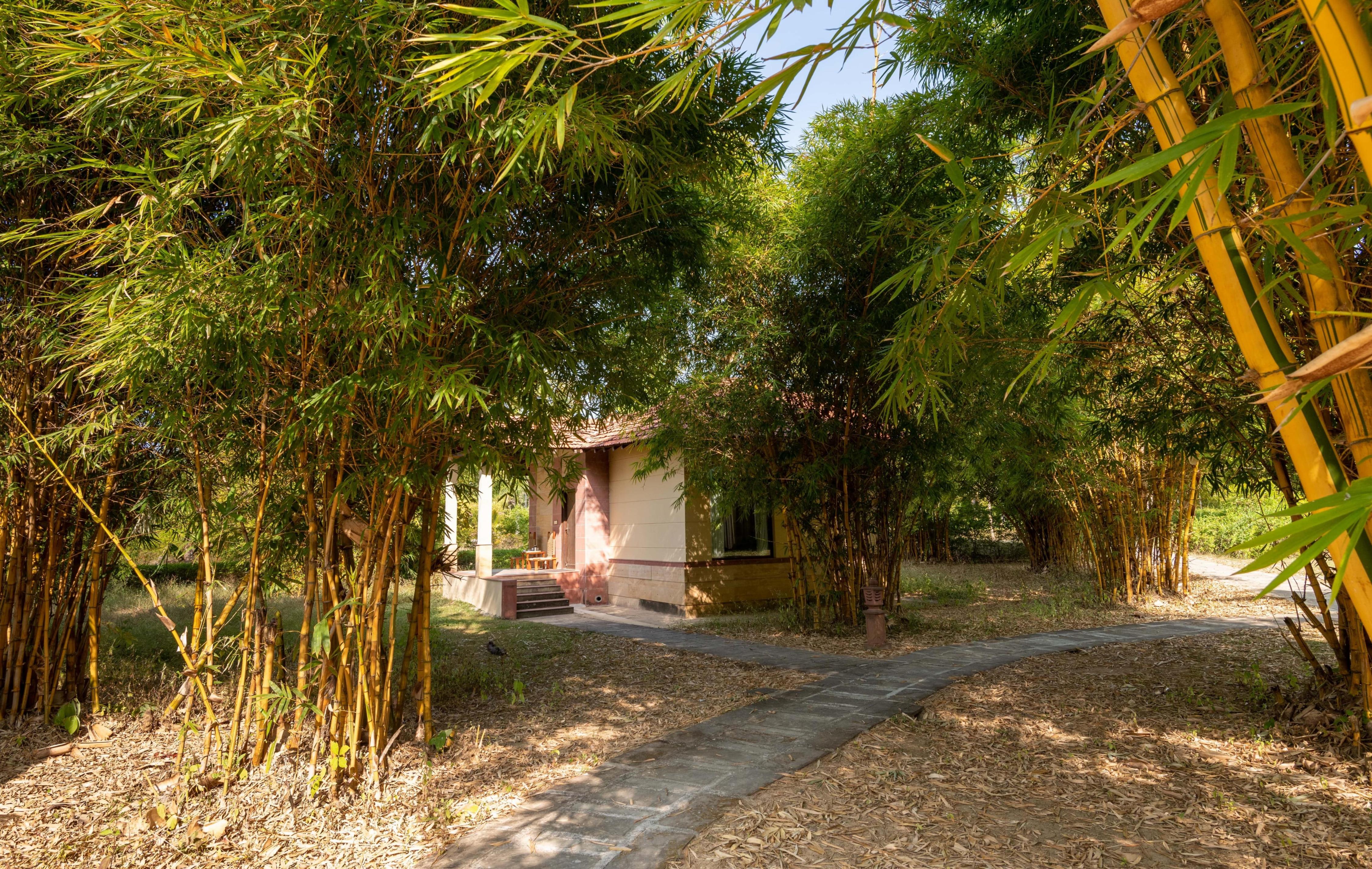 Soulacia Hotel & Resort Room Type - Independent Cottage