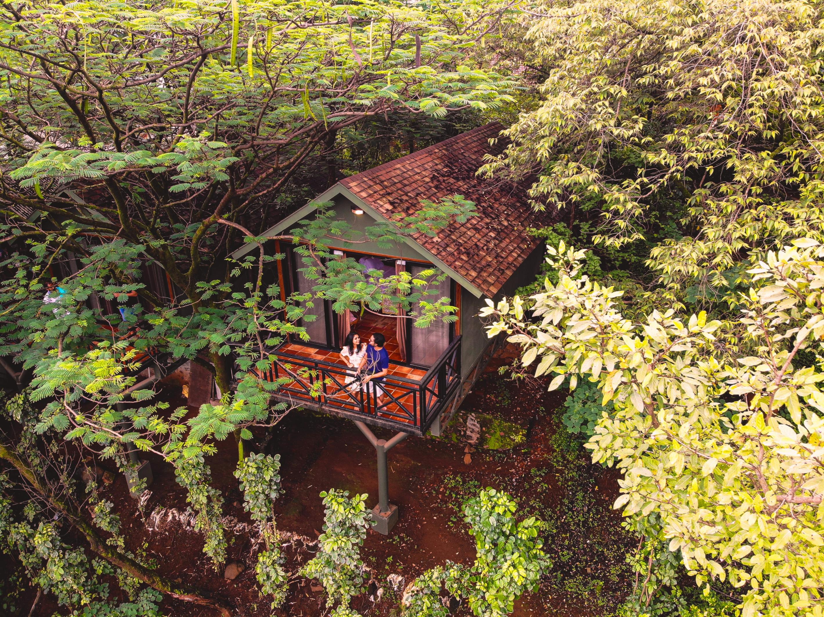 Anandvan Resort Room Type - Tree Top Nest