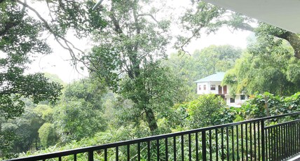 Spice Jungle Resorts Room Type - Super Deluxe