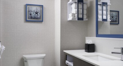 Hampton Inn & Suites Dallas-DFW ARPT W-SH 183 Hurst Room Type - 1RMSUITE KING NON-SMOKING