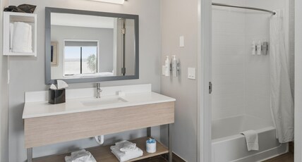 Hampton Inn & Suites by Hilton Pharr Room Type - 2 QNS STUDIO SUITE NONSMOK
