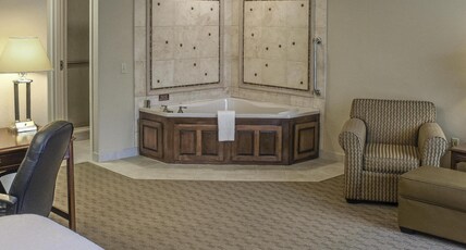Hampton Inn & Suites by Hilton Youngstown-Canfield Room Type - 1KNG STUDIO WHIRLPL NOSMOK