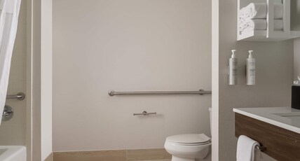 Hampton Inn & Suites Mansfield, TX Room Type - 1KN MOB HEA ACC TUB STU NS