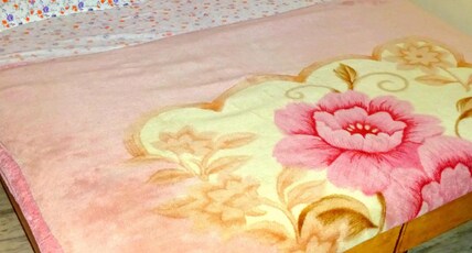 Radhika Palace Room Type - AC Double Bed Room Radhika Palace Room Type - AC Double Bed Room