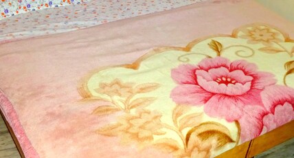 Radhika Palace Room Type - AC Double Bed Room