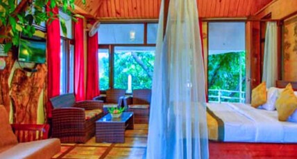 Pyramid Home Divine - A Wellness Resort Room Type - Tree house