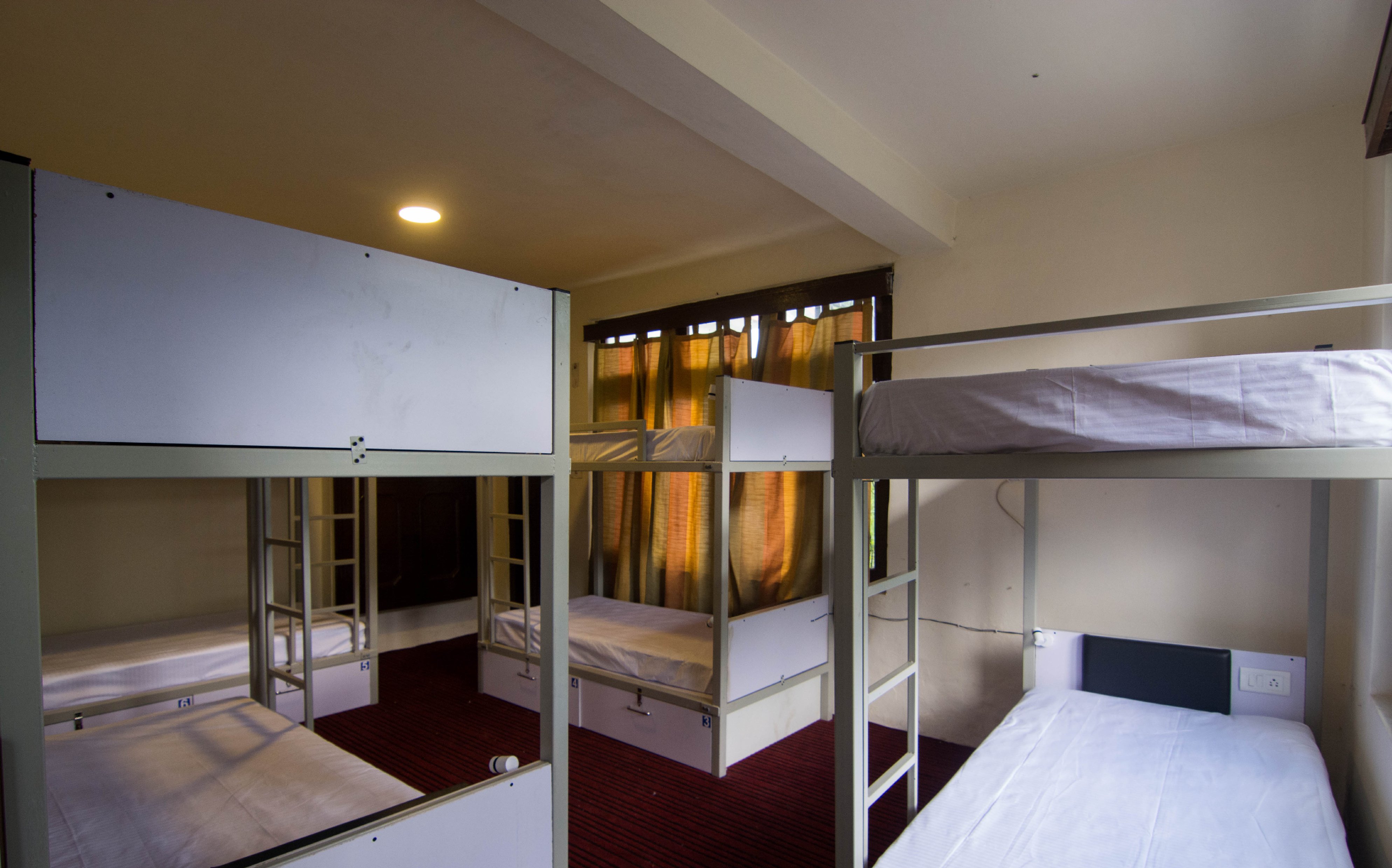 Backpackers Panda Room Type - Mixed Dorm | 1 Bed in 8 Bed Dorm Ensuite