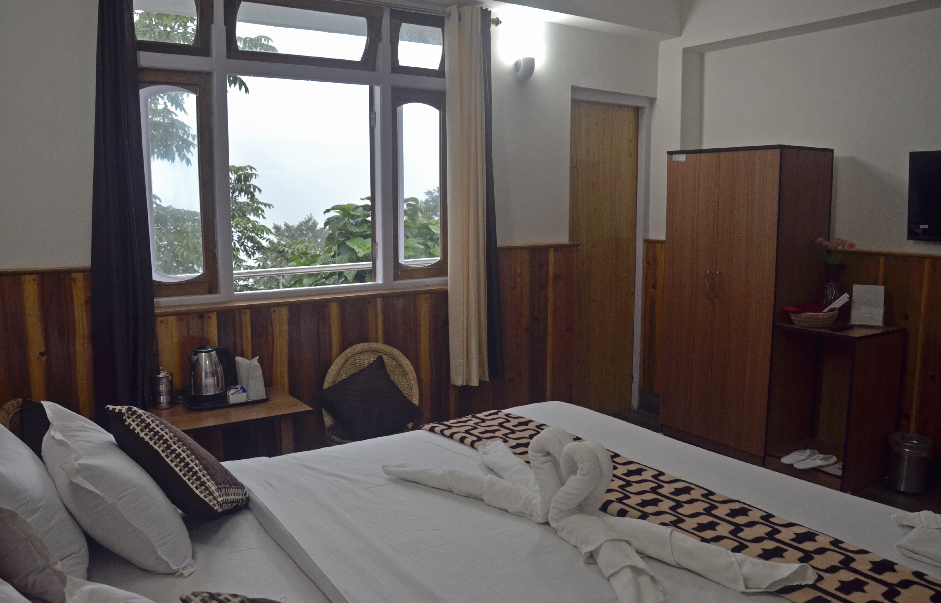 Green Leaf - Tap to explore photos