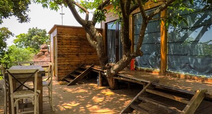 Forest Hills at Tala Room Type - The Tree Hugger