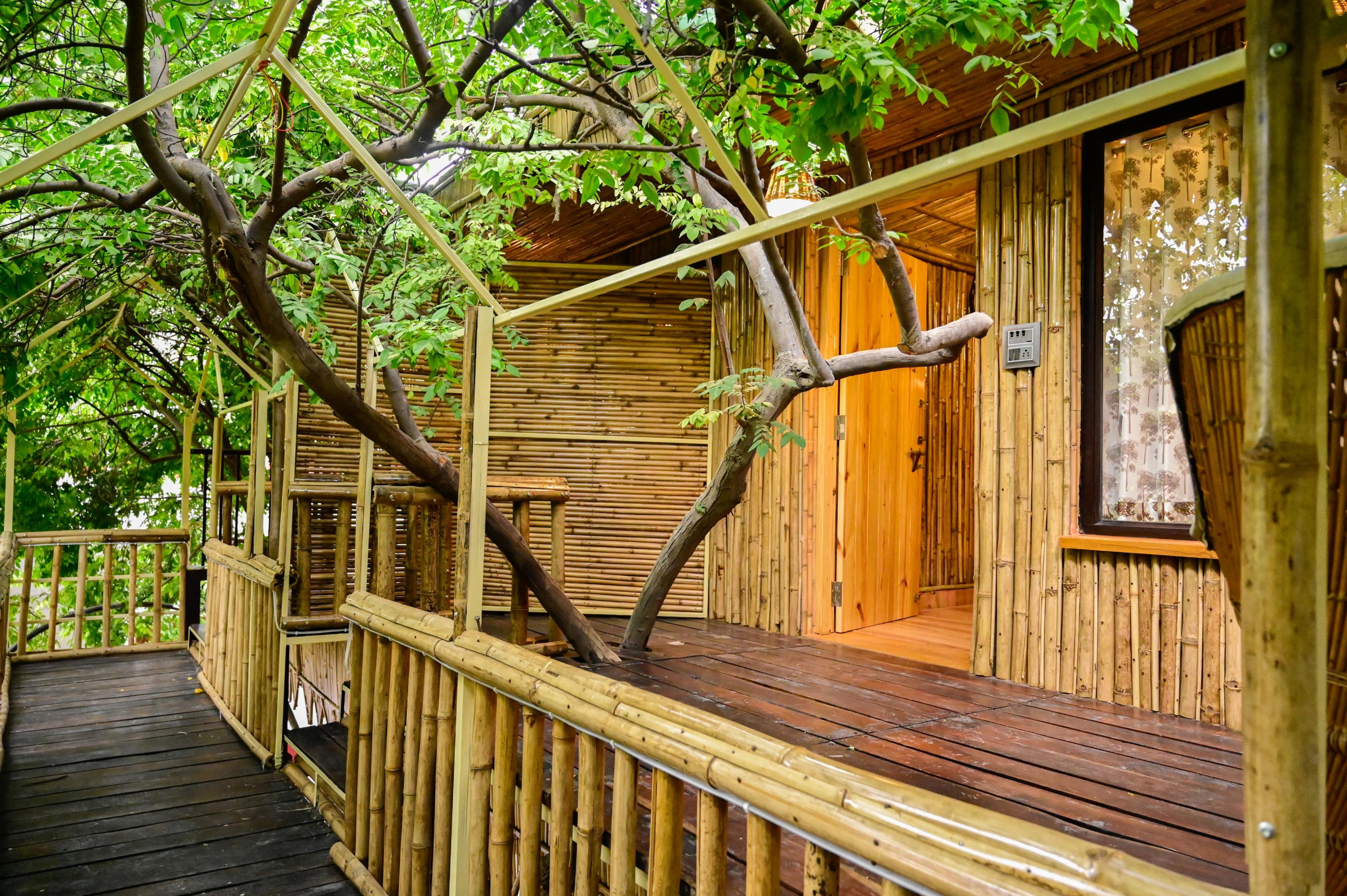 Green Heaven- Bali Style Tree House Resort, Pushkar