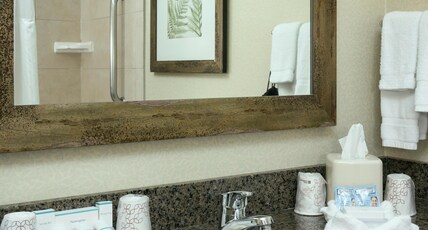 HILTON GARDEN INN SEATTLE ISSAQ Room Type - 1KNG MOB HEARING ACC W TUB