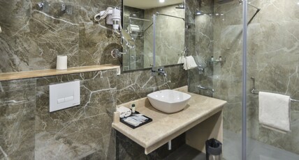 Regenta Central Srinagar Room Type - Deluxe Double Room