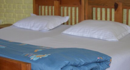 Divine Living | Villa with a Fish Pond Room Type - Divine Luxury with Mountain View