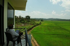 The Paddy Field Inn