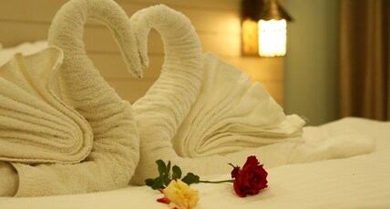 Nature Leap Resort Room Type - Premium Valley View Room