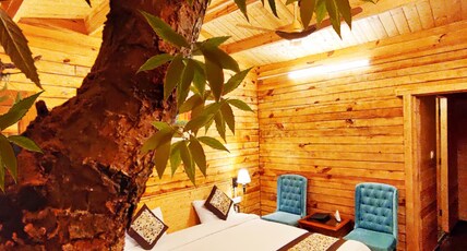 Treehouse Resort | Himalayan Views Room Type - Treehouse Suite.