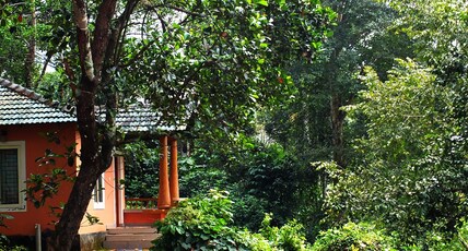 Jungle Valley Resort Room Type - independent Villa