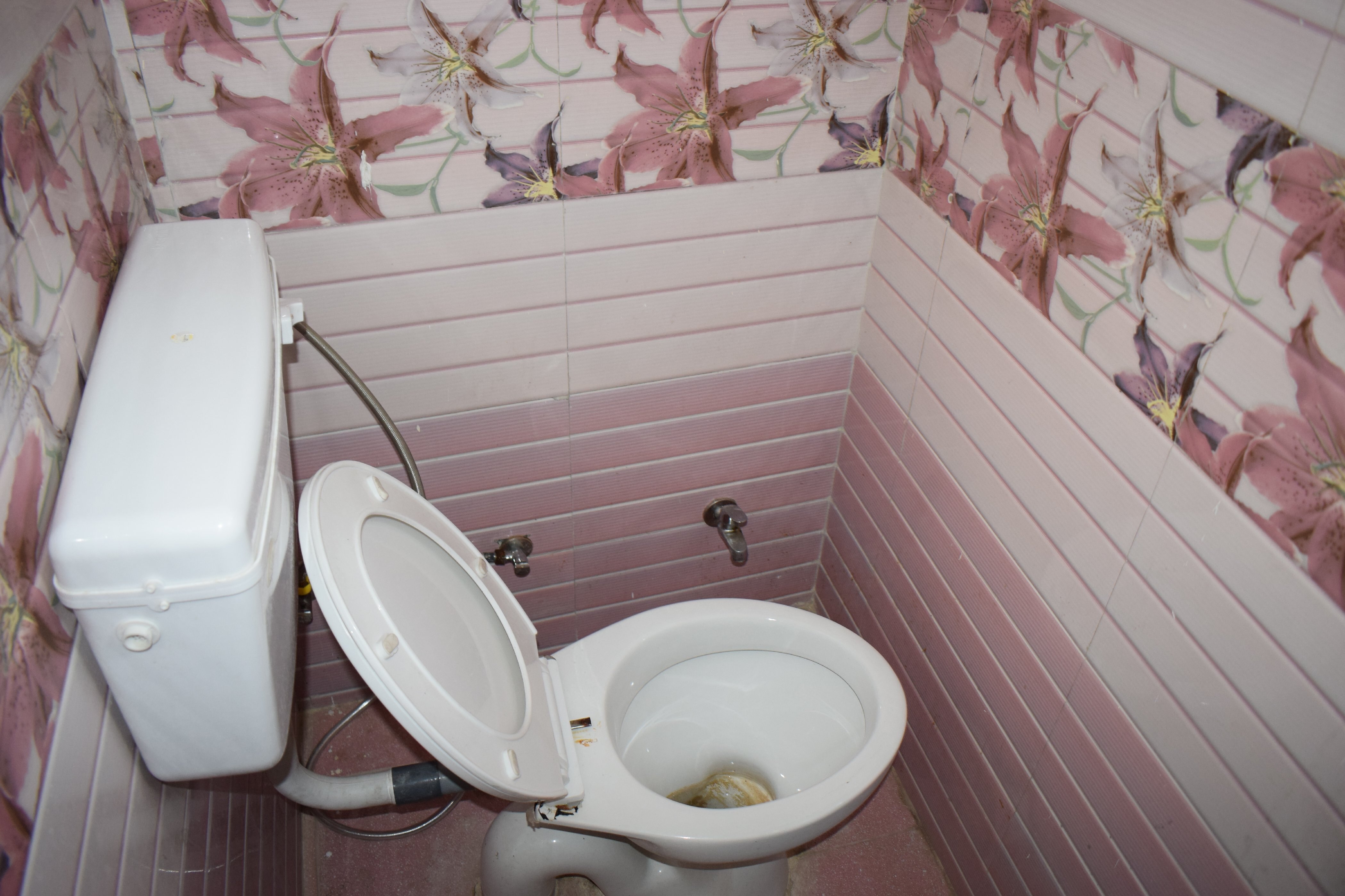 Prashant Hotel - Tap to explore photos