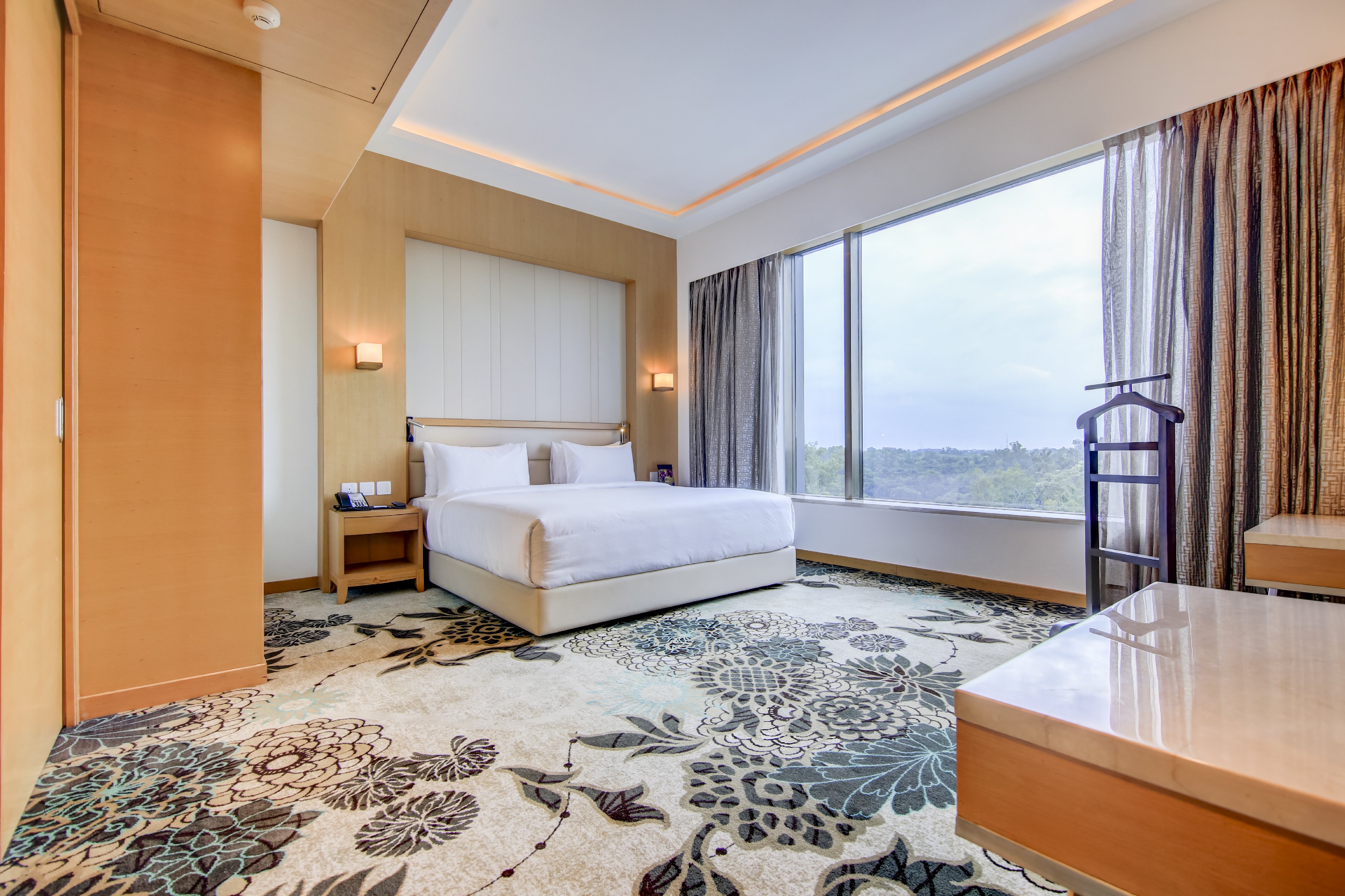 Radisson Blu Gorakhpur Room Type - Suite