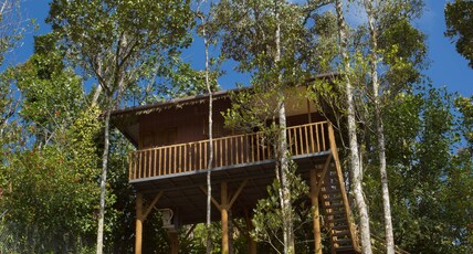 Spices Lap Resort Thekkady Room Type - Tree House with Balcony (AC)