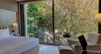 Vividus Room Type - Deluxe Room