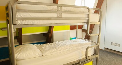 Flying Pig Downtown Room Type - Bed in 12-Bed Dormitory Room with Shared Bathroom