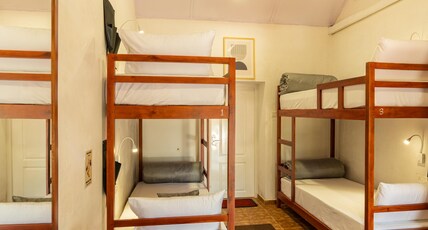 Zostel Plus Wayanad Room Type - Bed in Standard 4 Bed Mixed Dorm