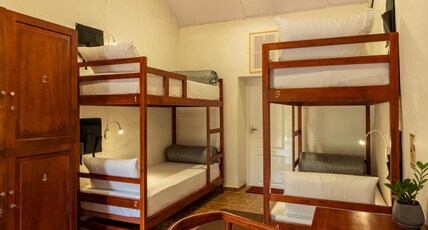 Zostel Plus Wayanad Room Type - Bed in Deluxe 4 Bed Mixed Dorm