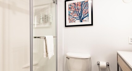 Hilton Garden Inn Albany Room Type - 1 BED KING SUITE W  VIEW