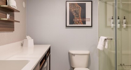 Hilton Garden Inn Auburn Riverwatch Room Type - 1 KING BED
