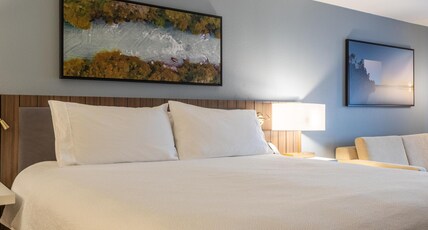 Hilton Garden Inn Auburn Riverwatch Room Type - 1KING SUITE BLCNY VW SHWR