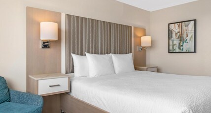 Best Western Dorchester Hotel Room Type - 1 King Bed, Non-Smoking, Harbor View, Refrigerator, Wi-Fi