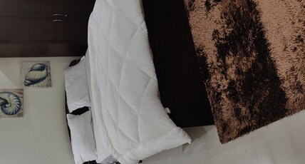 RAHUL RESORTS Room Type - Balcony Suite (Non-AC)