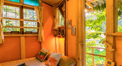 Zostel Plus Mussoorie (Kempty) Room Type - Tree House Private Room