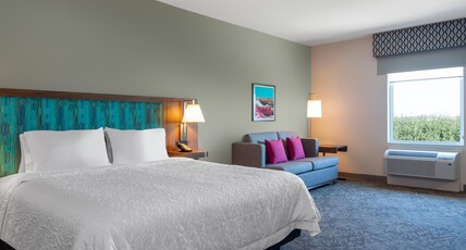Hampton Inn & Suites Edmonton St. Albert Room Type - 1 KING SFBD MIC FRG NS