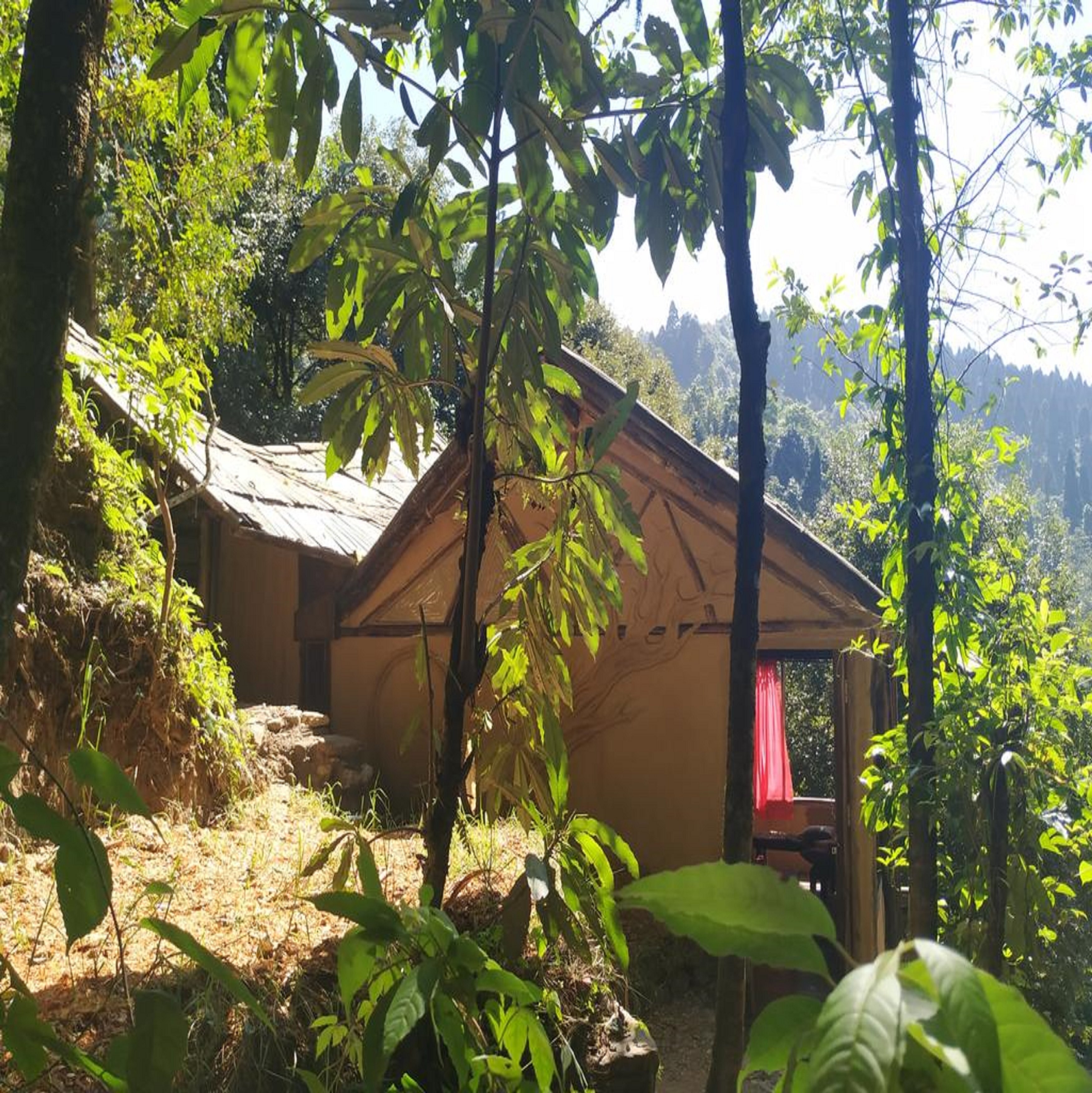 Tieedi Air Dwelling 1 - Tap to explore photos