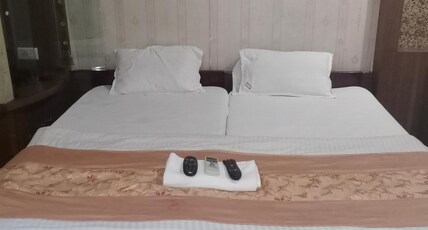 Hotel Green - 0.4km from Railway Station Room Type - AC Executive Suite